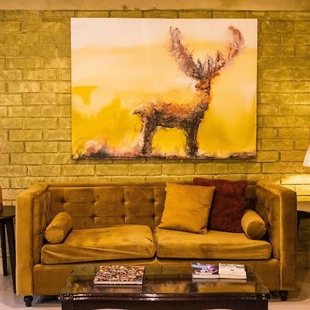 3 Bd House Steps From Santo Domingo Apartment Oaxaca Luaran gambar